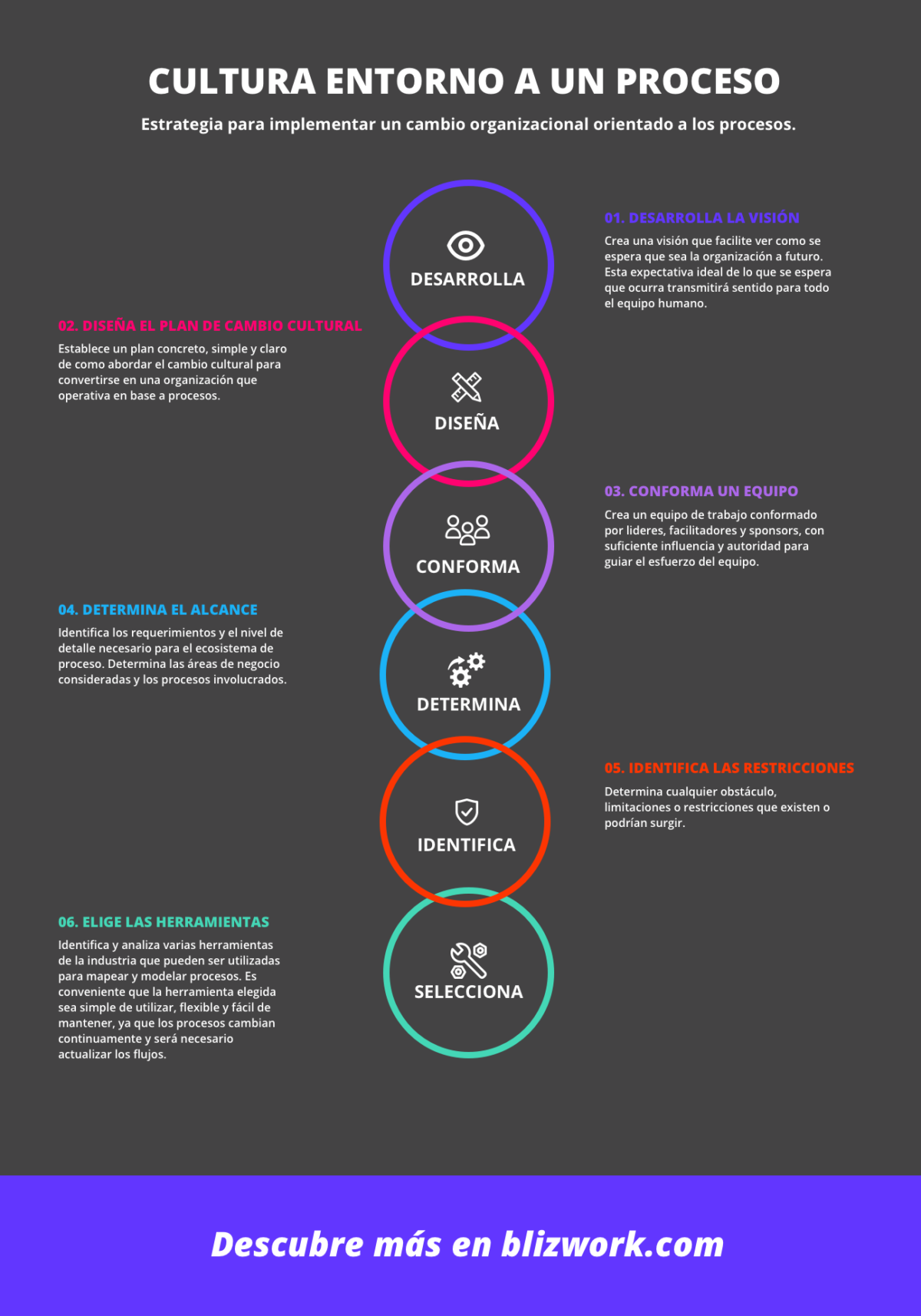 Estrategia para crear un ecosistema para los procesos dentro de la empresa